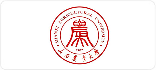 食堂